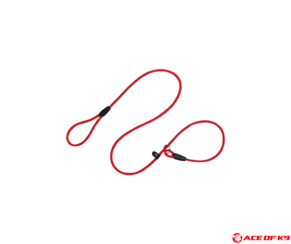 dog-collar-02_ch-sl02-r_2.png